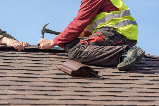 Best Roof Gutter Cleaning  in Harvey, LA